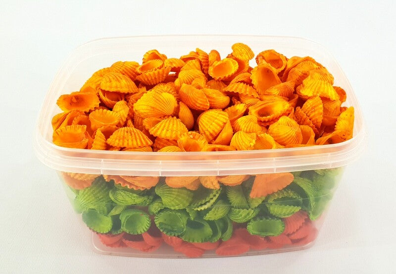 Muscheln Mix bunt gefärbt Orange Grün 1200 g in Box Shell maritime Dekoration