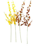 KÜNSTLICHE ORCHIDEEN Seidenblumen Orchideen Gelb / Braun 4 Zweige 100 cm Dekoration Top !