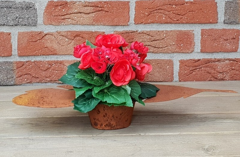 Edelrost Dekoblatt länglich Pflanzschale Schale Metall Blumenschale