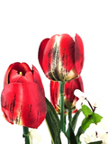 CASA - POADOR TOPFBLUME TULPEN Ginster Efeu künstlich Rot Weiß Kunstblume Deko