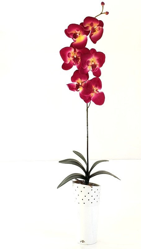 Orchideenblätter Basis wie echt 3 Paar künstlich Luftwurzeln &  1 Orchideenstiel