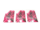 FLEUROP 3 - er Set Karten Pinke Gerbera Edition Gruß- Glückwunschkarten Blumen