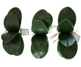 Orchideenblätter Basis wie echt 3 Paar künstlich Luftwurzeln &  1 Orchideenstiel