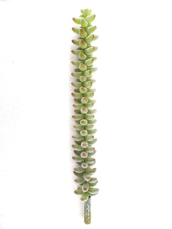 Kunstblumen Sedum Picks 4 Stück grün grau 24 cm Lang Seide Gestecke Dekoration