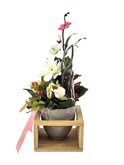 Casa-Poador Künstliches Gesteck  Kunstblume in Holzkästchen Blume  Geschenk Deko