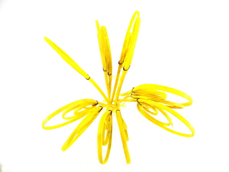 Trockenblumen Rohrkreisel Cane Coil mini Gelb Orange Mix Naturmaterial Deko