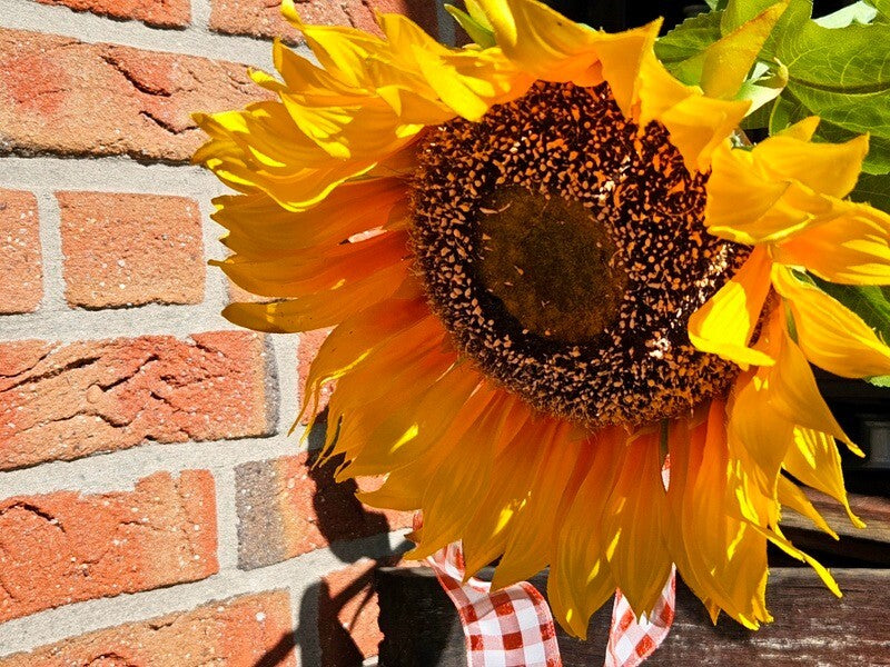 Kunstblume künstliche Sonnenblume gelb 108 L x 23 cm Band Filzkürbisse Deko