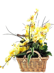 Casa-Poador Orchideen Gesteck Kunstblumen Phalaenopsis Gelb 50H Korb Dekoration