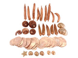 TROCKENBLUMEN SCHOTEN MUSCHELN Schnecken Deko Mix 700 g kupferfarben Dekoration