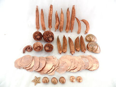 Trockenblumen Schoten Muscheln Schnecken Deko Mix 700 g kupferfarben Dekoration