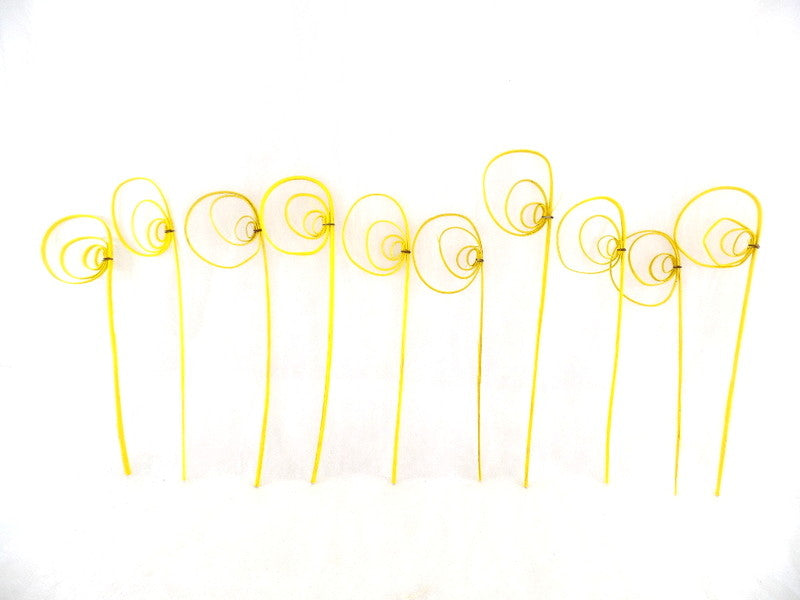 Trockenblumen Rohrkreisel Cane Coil mini Gelb 100 Stiele Naturmaterial Deko