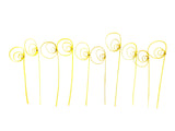 TROCKENBLUMEN ROHRKREISEL Cane Coil mini Gelb 100 Stiele Naturmaterial Deko