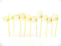 Trockenblumen Rohrkreisel Cane Coil mini Gelb 100 Stiele Naturmaterial Deko