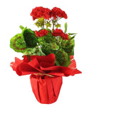 CASA - POADOR GERANIE Künstliche rote Pelagonie Kunstblume Blume Geschenk