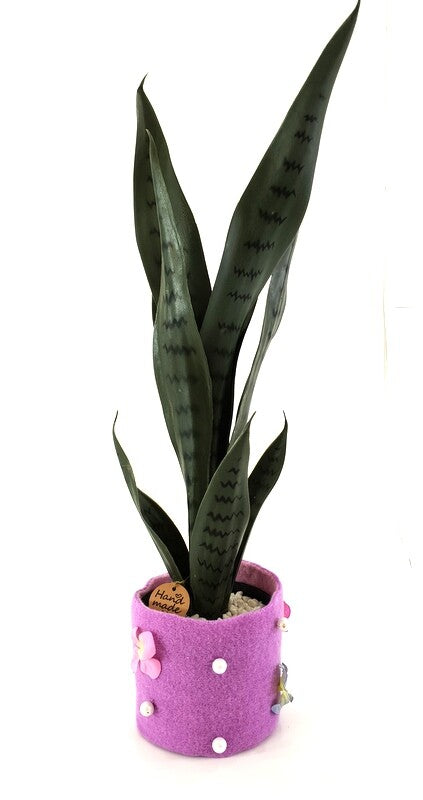Künstliche Pflanzen Sansevieria Bogenhanf Poliana Getopft 50 cm Zimmerpflanze