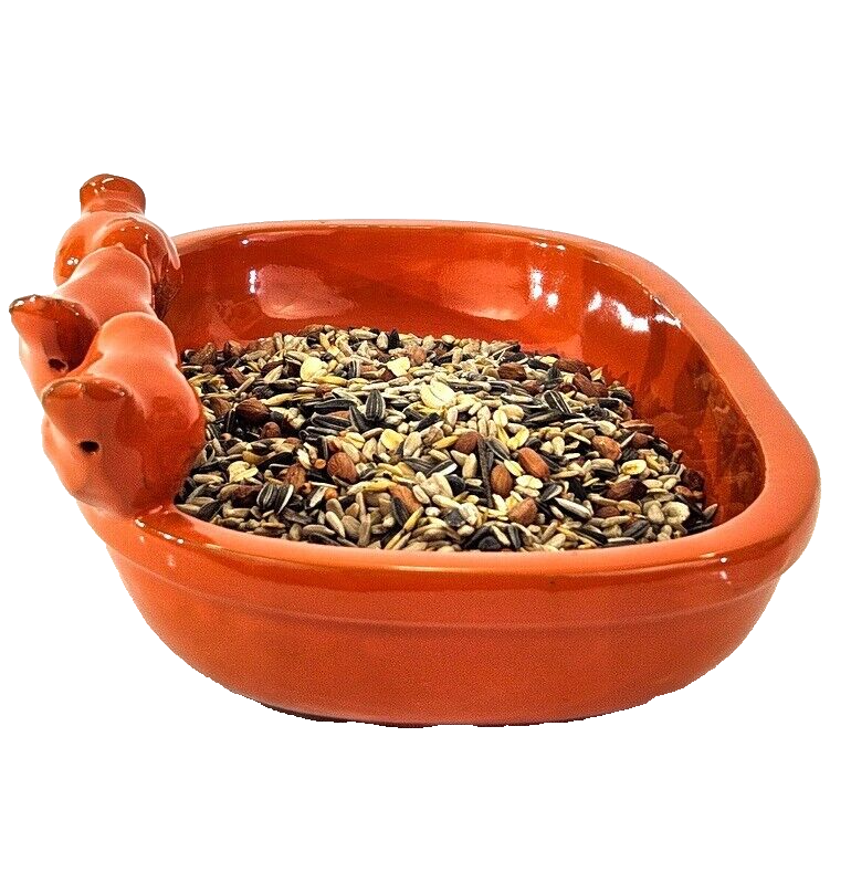 Vogeltränke Vogelbad Orange Garten Wasserschalen Vogelbecken Tiertränke Geschenk