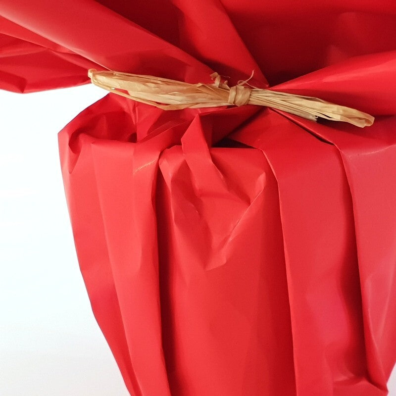 Künstliche Geranie rot Pelagonium im Topf Top Kunstblumen Blume Geschenk