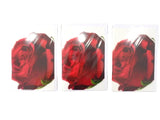 FLEUROP 3 - er Set Karten Rote Rose Edition Gruß- Glückwunschkarten Blumen