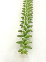 24ad84e0-0568-4ab3-bf3f-646fa820efcb