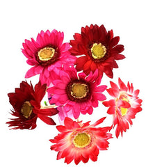 Gesteck Topfblume Gerbera Rosa Pink Kunstblumen Keramikgefäß rund Dekoration