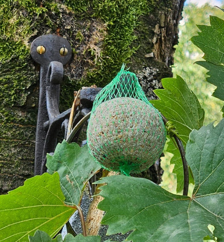 Vogelfutter Mix Eimer 3 kg Vogelfutter Meisenfutter schwarze Sonnenblumenkerne