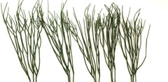Künstliche Ranken Zweige Rhipsalis 5 Stück grün Blätter länglich 75 cm Lang