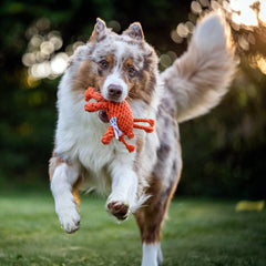 LABONI - Volentis GmbH - Kristof Krabbe