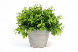 BLUMENKÜBEL KERMIK WEIß D 27 20 cm H Glazed Basic Pot White Außenkübel