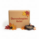 ÜBERRASCHUNGSPAKET HERBST 50 tlg. Mystery Box Basteln Wohnambiente Stecker Deko
