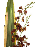 CASA - POADOR ORCHIDEENGESTECK Metallgefäß weiße Rose Bell Cup Orchideen Rostbraun