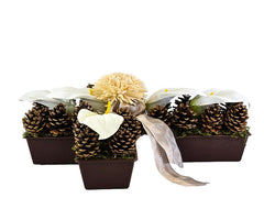 Casa-Poador Grabschmuck Grabgesteck Kreuzform Calla Zapfen Weiß Natur Gedenken Friedhof