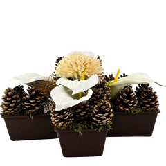 Casa-Poador Grabschmuck Grabgesteck Kreuzform Calla Zapfen Weiß Natur Gedenken Friedhof