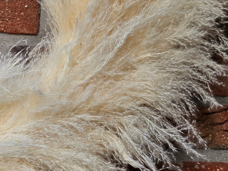 KRANZ LAO GRAS Cortaderia 80 cm D Beige Dried Geschenk.