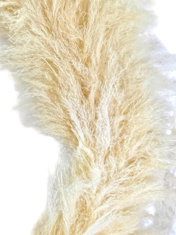 KRANZ LAO GRAS Cortaderia 80 cm D Beige Dried Geschenk.