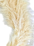 KRANZ LAO GRAS Cortaderia 80 cm D Beige Dried Geschenk.