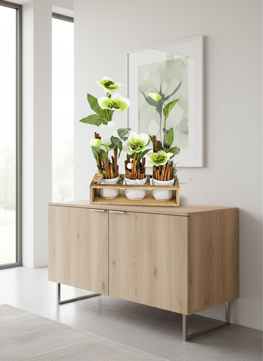 CASA - POADOR GESTECK in Holzkästchen Christrosen Zimt Engelstecker.
