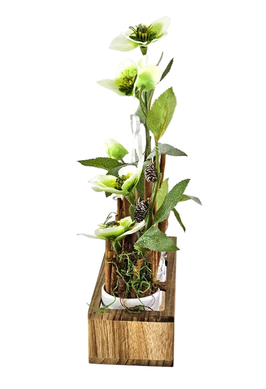CASA - POADOR GESTECK in Holzkästchen Christrosen Zimt Engelstecker.