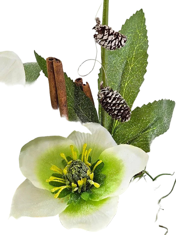 CASA - POADOR GESTECK in Holzkästchen Christrosen Zimt Engelstecker.
