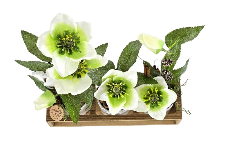 CASA - POADOR GESTECK in Holzkästchen Christrosen Zimt Engelstecker.