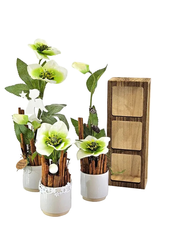 CASA - POADOR GESTECK in Holzkästchen Christrosen Zimt Engelstecker.