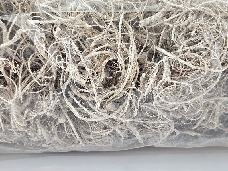 CURLY MOOS WHITE stone washed 500 g Deko Moos Basteln DIY.