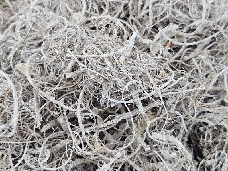 CURLY MOOS WHITE stone washed 500 g Deko Moos Basteln DIY.
