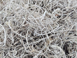 CURLY MOOS WHITE stone washed 500 g Deko Moos Basteln DIY.