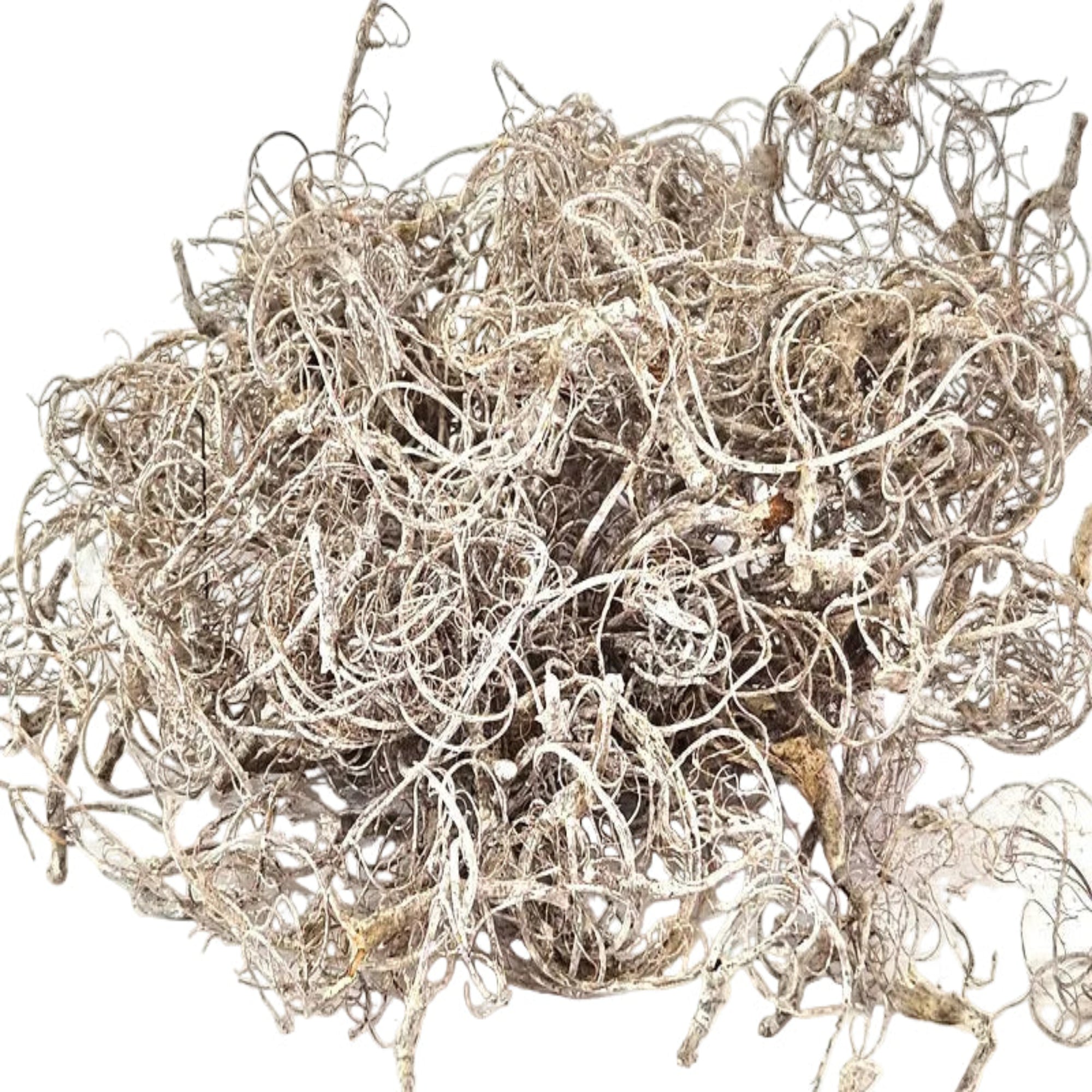 CURLY MOOS WHITE stone washed 500 g Deko Moos Basteln DIY.