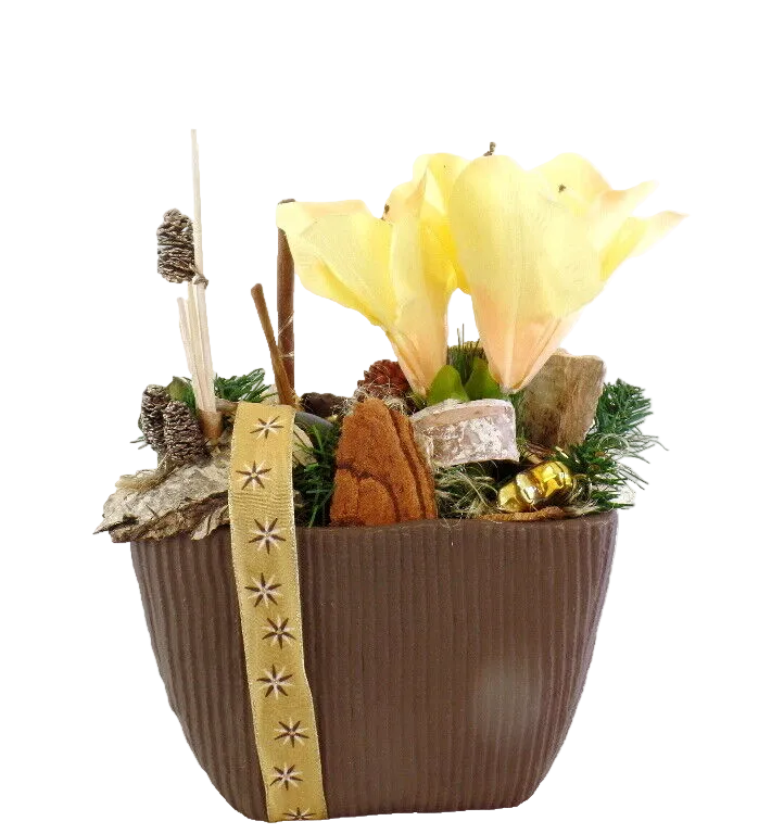 CASA - POADOR WEIHNACHTSGESTECK Amaryllis Creme Braun künstliche Tanne Deko