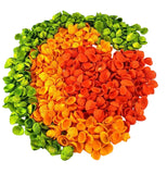 MUSCHEL MIX bunt gefärbt Orange Grün 1200 g in Box Shell maritime Dekoration