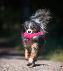 LABONI - Volentis GmbH - Franzi Flamingo