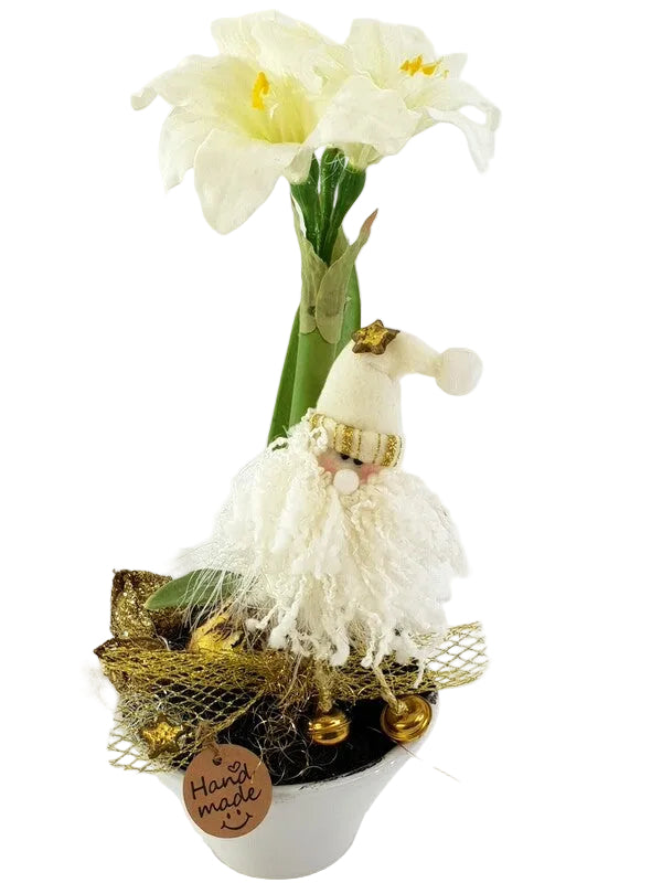 WEIHNACHTSGESTECK AMARYLLIS Weiß im Keramiktopf Gold Sterne Lampions Band