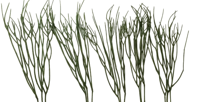 KÜNSTLICHE RANKEN RHIPSALIS 5 Stück grün Blätter länglich 75 cm Lang