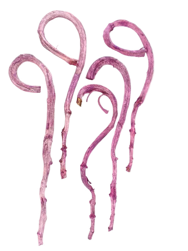 HIRTENSTAB BANANA STICK 5 Stück Brombeer Frosted ca. 60 cm Lang Dekoration